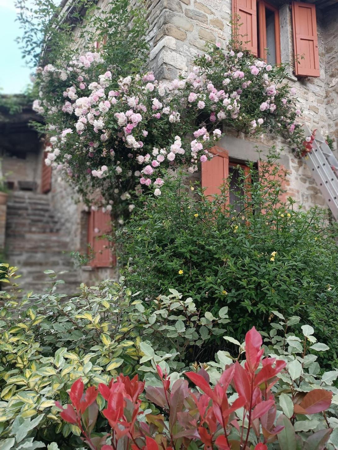 Pilgrim Rooms Gubbio Exteriör bild