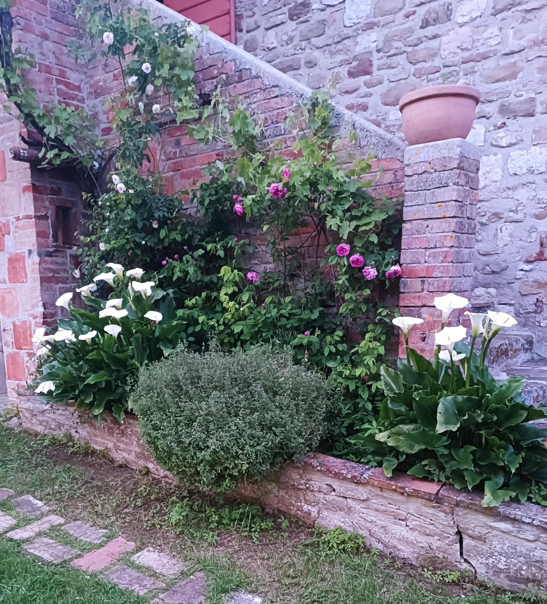 Pilgrim Rooms Gubbio Exteriör bild